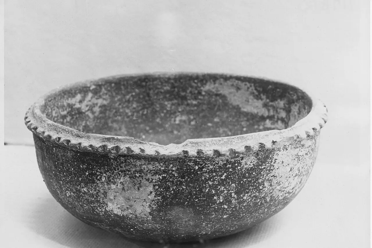 Garage door service in Hamilton County, Tennessee