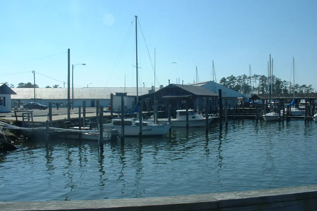 Garage door service in Poquoson city, Virginia