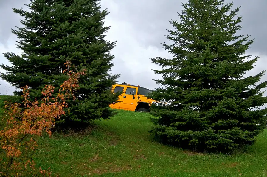 Garage door service in Wright County, Minnesota