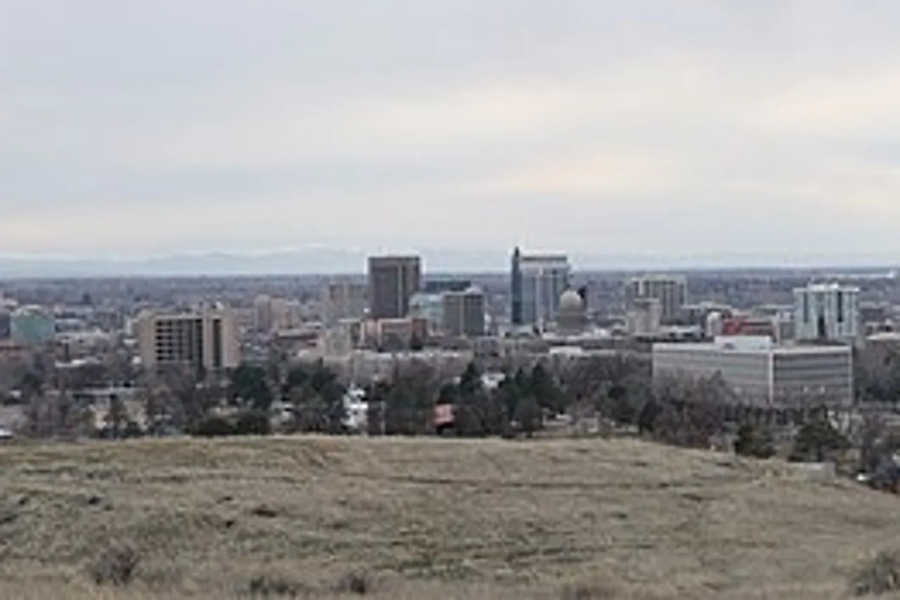 Garage door service in Boise, Idaho