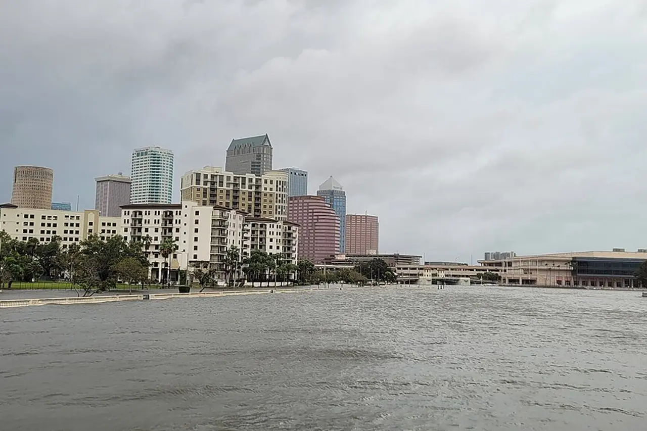 Garage door service in Tampa, Florida